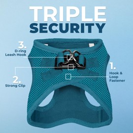 Voyager Step-in Air Cat Harness - All Weather Mesh Step in Vest Harness for Small and Medium Cats by Best Pet Supplies - Set (Turquoise), XXS