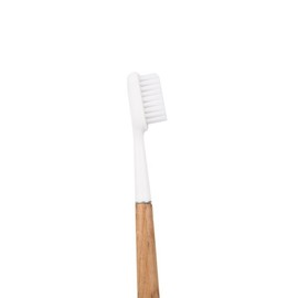 Brosse &agrave;dents Caliquo en ch&ecirc;ne (fir tree) / Brosse &agrave; dents Caliquo en ch&ecirc;ne (전나무)