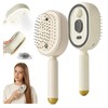 Electric Spray Air Cushion Massage Comb, 3-in-1 Electric Spray Hair