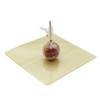 Yolli Toffee Apple Wrappers Clear Polyprop-10 x 10"- (1Pk) Pack
