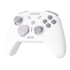 COIORIVIS Pro HD Controller (No Drift) for Switch/PC/Android/MacOS/iOS with 4