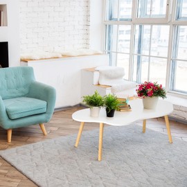 Small Coffee Table,Computer Desk,Cloud Coffee Table,Cute White Modern Tea Table Living Room Center Minimalist Display Coffee Table with Cloud Shape Irregular Indoor End Table White