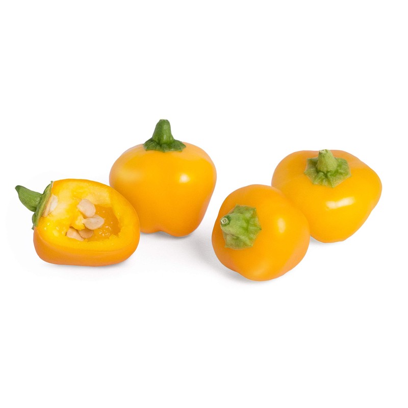 Lingot® Mini Yellow Pepper - Compatible with Veritable® and Exky®