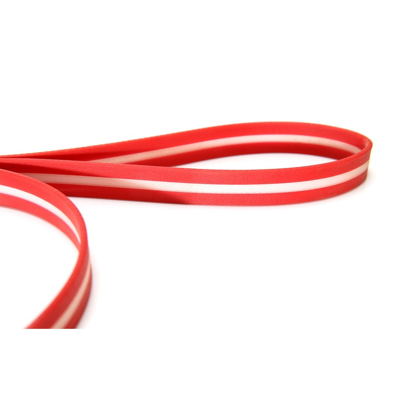 Julius-K9 IDC-Lumino Phosphorescent Leash with Handle, 19 mm x 1,2