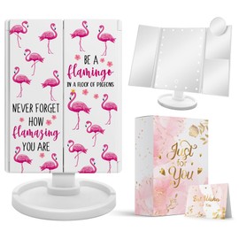 Hexagram Flamingo Gifts for Girls, Mothers Day Flamingo Gifts for Women, Flamingo Gift for Teenager, Flamingo Makeup Mirror with Lights Gifts for Girl, Flamingo Lighted Make Up Mirror Gift