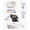 Slow Feeder Dog Bowl - 1.5 Cups Ceramic Puzzle Feeder