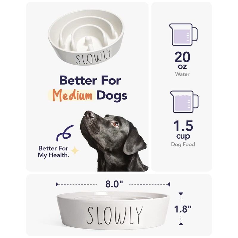 Slow Feeder Dog Bowl - 1.5 Cups Ceramic Puzzle Feeder