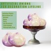 Tuxiaobu Fake Onion, 6 Pcs Faux Plastic Onions, Artificial Fruit