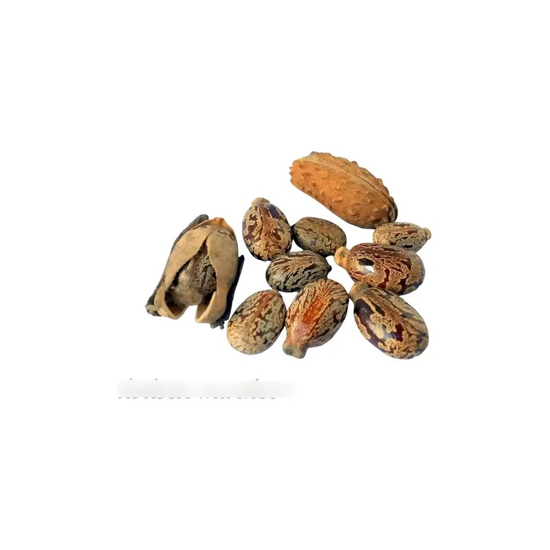 Aceite De Ricino Orgánico Certificado, 100 % Puro, Prensado