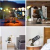 CAFELE Rustic USB Angler Fish Lamp, Shark Lamp Steampunk Style