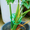 Plant Stem Supports for Indoor Plants, Reusable Monstera Plant Support,
