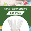 QNP Supplies 250 Count Individually Wrapped Straws - Standard Size