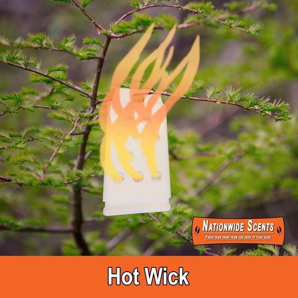 Nationwide Scents Hot Wick Heated Deer Urine Scent Wick Dispenser - Buck Attractant for Whitetail Deer - Heated Doe Urine Scent Holder - Deer Lure for Hunting