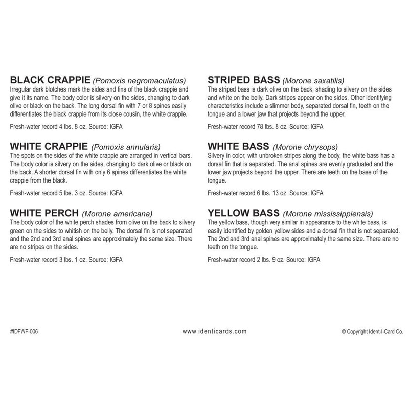Crappie & White Bass Ident-I-Card - Freshwater Fish Identification Card