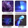Black Light, UV Light, LED Flashlight, Ultraviolet 395nm, Aluminum Alloy