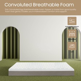 Zayton, 2-inch Convoluted Egg Shell Breathable Foam Topper, Adds Comfort to Mattress, Queen