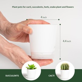 LESOASIS 4 Inch 5 Pack Small Self Watering Pots for Indoor Plants, Nursery Pot with Drainage Holes and Saucers, Plastic Small Flower Planter for Succulent, Aloe, Cacti and More (White)