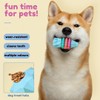 Interactive Vase-Shaped Dog Chew Toy for Teething, Play & Dental