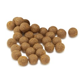 Good Farmers Helicopteran Mushroom Pills 200g / 착한농부들 노루궁뎅이 버섯 환 200g