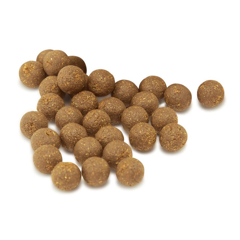 Good Farmers Helicopteran Mushroom Pills 200g / 착한농부들 노루궁뎅이 버섯