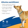 Zodiac Flea and Tick Collar for Large Dogs