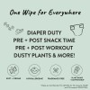 The Honest Company Compostable Plant Based Baby Wipes 72 Count