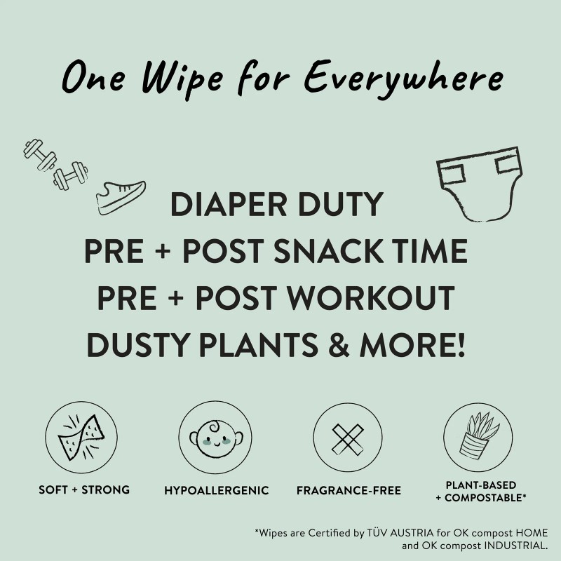 The Honest Company Compostable Plant Based Baby Wipes 72 Count