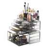 READAEER Makeup Organizer 3 Pieces Cosmetic Storage Case with 6