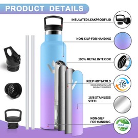 Vikastar Stainless Steel Drinking Bottle, Thermos Flask, 1 Litre, BPA-Free Drinking Bottle, Thermos Bottle with Straw, Drinking Bottle for School, Sports, Bike, Camping, Sky Blue & Purple