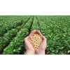 Basfoliar Amino Sl Aminoácidos Con Npk Compo Expert 1 L