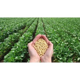 Basfoliar Amino Sl Aminoácidos Con Npk Compo Expert 1 L                                                                                               
