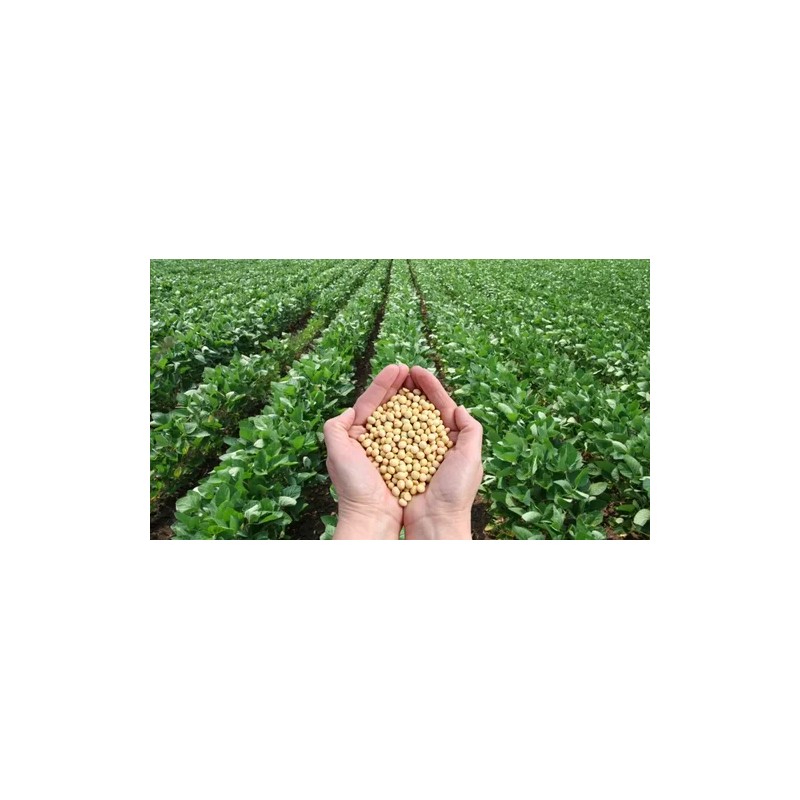 Basfoliar Amino Sl Aminoácidos Con Npk Compo Expert 1 L