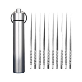 ccHuDE Mini Stainless Steel Toothpick Holder Portable Pocket Toothpick Container Travel Toothpick Carrying Case with 10 Pcs Toothpicks for Outdoor