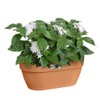 elho Vibia Campana Wall Basket 35 - Planter for Balcony
