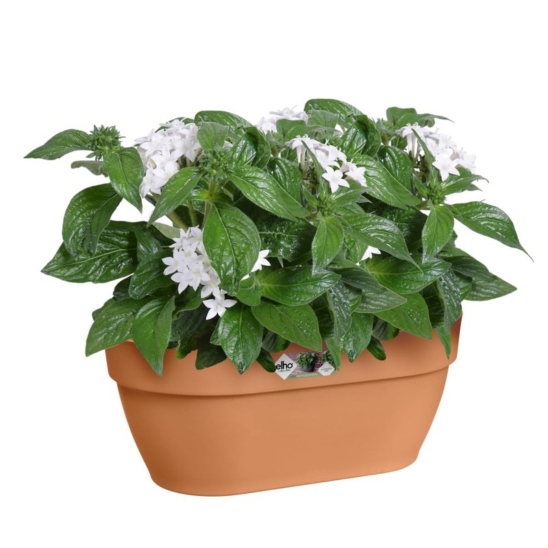 elho Vibia Campana Wall Basket 35 - Planter for Balcony
