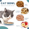 Katzennapf Flach 8 Stück Futternapf Katzenfutter, Napf Fressnapf, Katze Katzenteller,