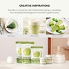 MatchAiA Organic Matcha Green Tea Powder - Premium Culinary Grade,