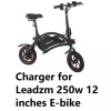 coming data power supply battery Charger for Leadzm 250w 12inches