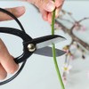 Wazakura 3PCS Japanese Ikebana Essential Tool Set Made in Japan,