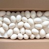 BESTPYSANKY Blown Out Hollow Real Goose Eggshell, Empty Cleaned-Out ...