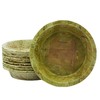 MantraRaj Large Disposable Bowls 19cm 20 Pack Large Leaf Bowls