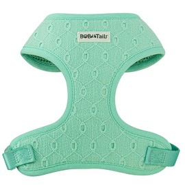 Bobotails Silk Embroidery Dog Harness with D-Ring Leash Clip Set,Adjustable Soft Padded and Cotton Fabric Pet Vest for Medium and Small Dogs (Mint, Medium)