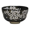 Hideka Miyachi Eikou Matcha Bowl, Black, Size: Diameter 4.7 x