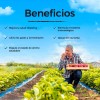 Probióticos 120 Billones 30 Cápsulas Sin Sabor