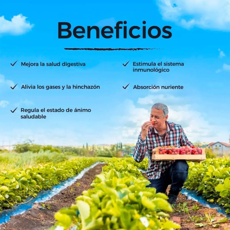 Probióticos 120 Billones 30 Cápsulas Sin Sabor
