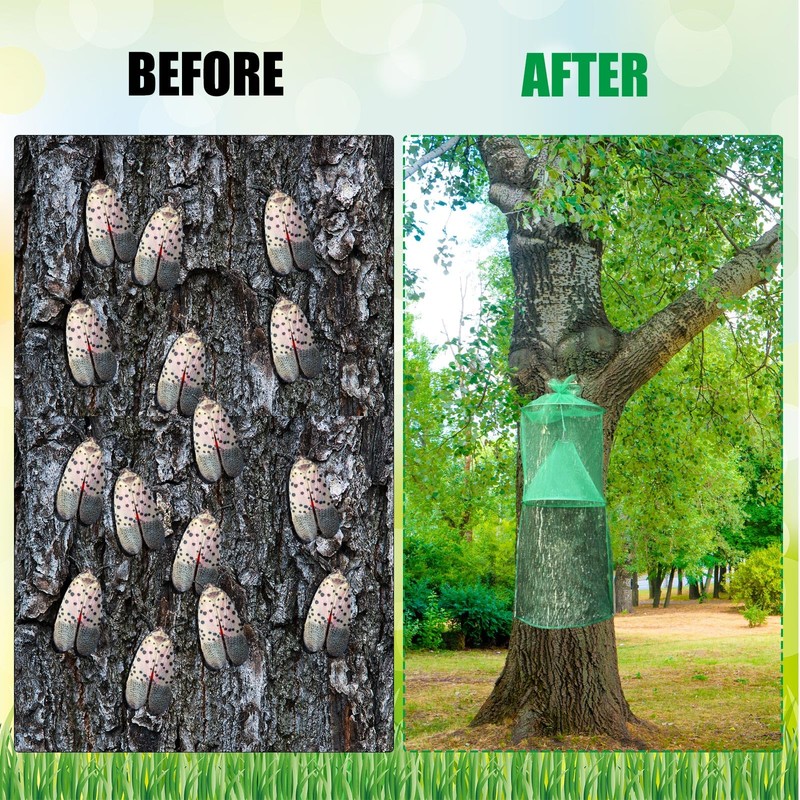 Qualirey 2 Pack Spotted Lanternfly Traps Lantern Fly Killer Mesh