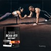 Bandini® BCAA 8 1 1 | 400g Powder | 8.1.1