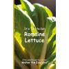 It's Time to Eat Romaine Lettuce