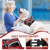 Service Dog Vest Harness and Leash Set, Animire in Training