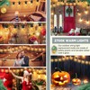 Rossesay 12 Pcs S14 Bulbs for Outdoor String Lights 1.5